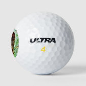 OWL GOLFBALLEN (Logo)