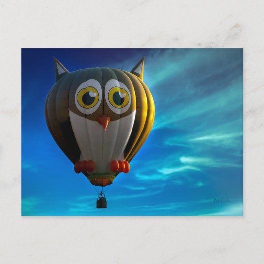 Owl Hot Air Ballon Briefkaart (Voorkant)