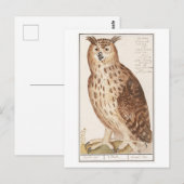 Owl Illustratie Briefkaart (Voorkant / Achterkant)