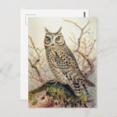  Owl Illustratie Briefkaart (Voorkant / Achterkant)