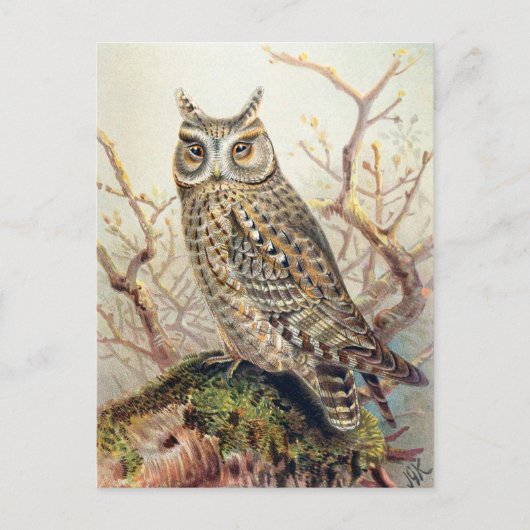  Owl Illustratie Briefkaart (Voorkant)