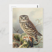  Owl Illustratie Briefkaart (Voorkant / Achterkant)