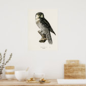  Owl Illustratie Poster (Keuken)