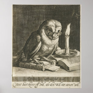  Owl Illustratie Poster