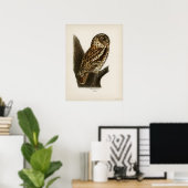  Owl Illustratie Poster (Thuiskantoor)