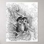 Owl Illustratie Poster (Voorkant)