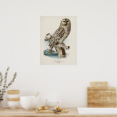  Owl Illustratie Poster (Keuken)