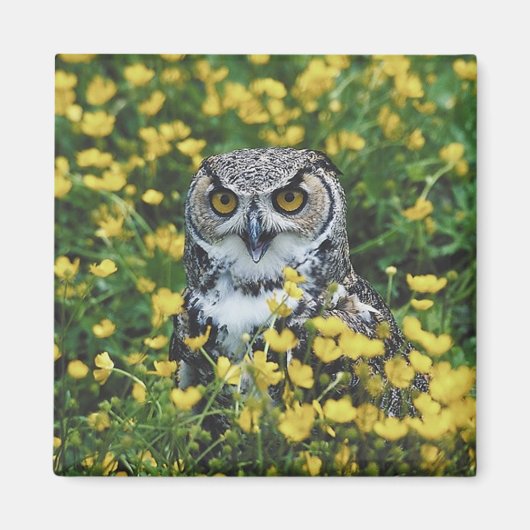 Owl in Buttercups Magneet (Voorkant)
