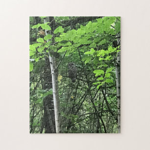 Owl in de bomen, Oregon Legpuzzel