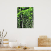 Owl in de bomen, Oregon Poster (Keuken)