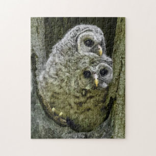 Owl in de familie legpuzzel