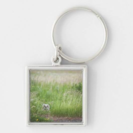 Owl in de gras sleutelhanger (Voorkant)