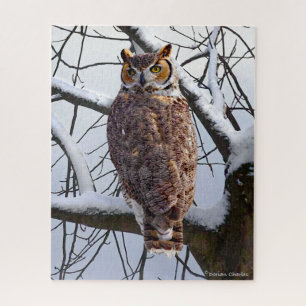 "Owl in de winter" Legpuzzel