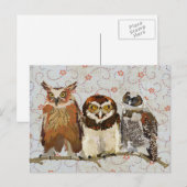 OWL IN EEN ROW Briefkaart (Voorkant / Achterkant)