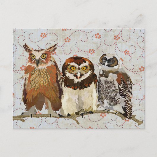 OWL IN EEN ROW Briefkaart (Voorkant)