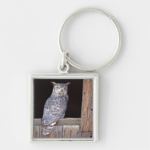 Owl in een venster sleutelhanger