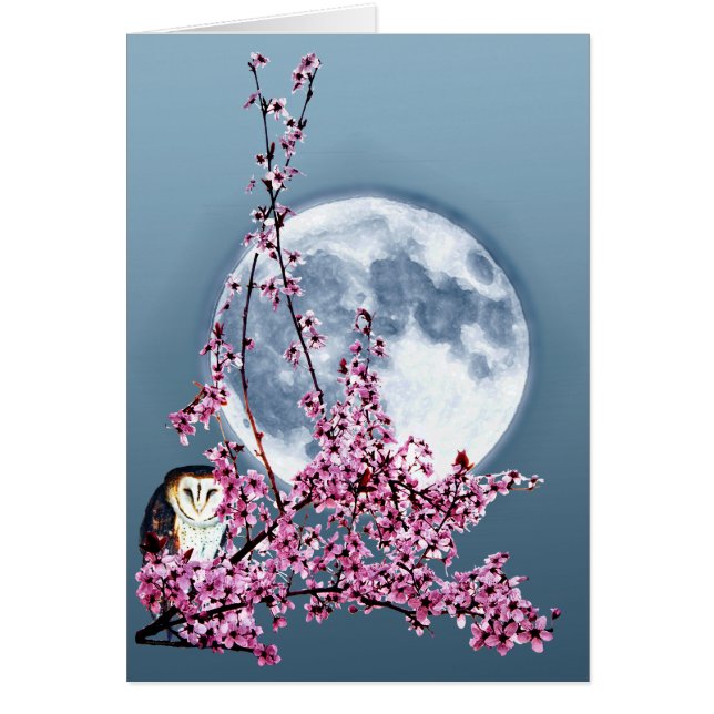 Owl in plum Tree (Voorkant)