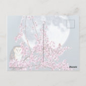 Owl in plum Tree Briefkaart (Achterkant)