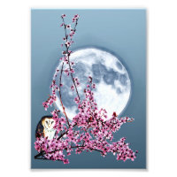 Owl in plum Tree