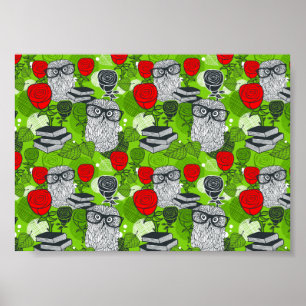 Owl in rode rozen poster