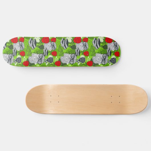 Owl in rode rozen skateboard (Horizontaal)