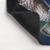 Owl in vlucht muismat (Hoek)