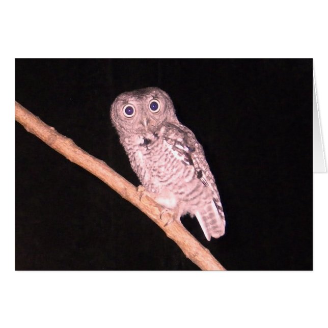 Owl-kaart (Voorkant Horizontaal)