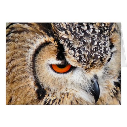 OWL-kaart (Voorkant Horizontaal)