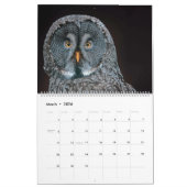 Owl Kalender (Mar 2026)
