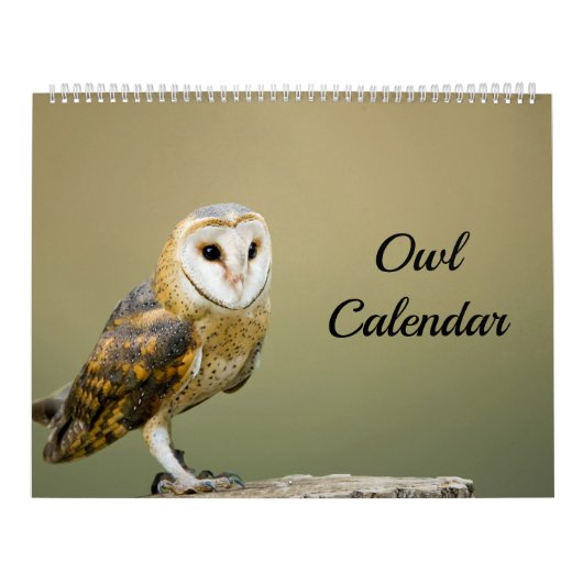 Owl Kalender (Hoes)