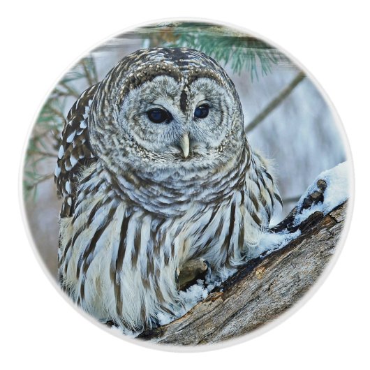 Owl Keramische Knop (Voorkant)