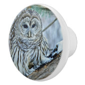 Owl Keramische Knop (Rechts)