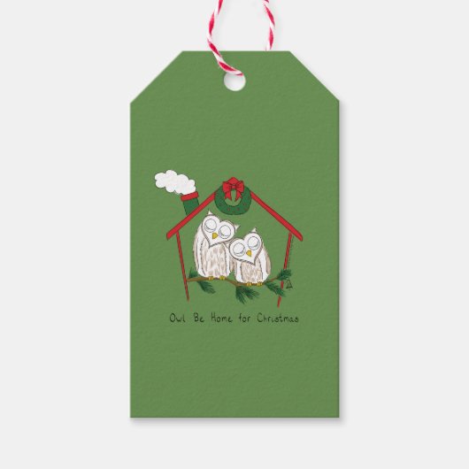 Owl Kerstmis Cute Funny Holiday Cadeaulabel (Voorkant)