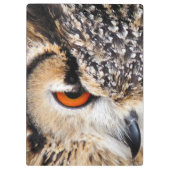 OWL KLEMBORD (Achterkant)