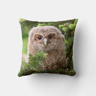 Owl Kussen