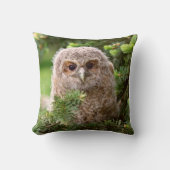 Owl Kussen (Voorkant)