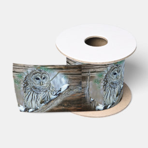 Owl Lint