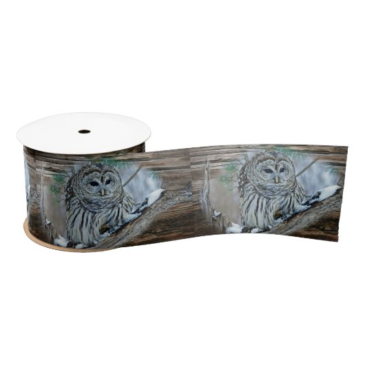 Owl Lint (Spoel)