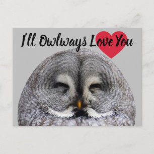 Owl Love Valentijn Briefkaart