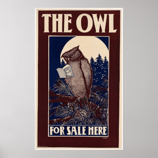  Owl Magazine Hoesje Poster (Voorkant)