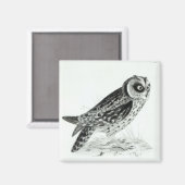 Owl Magneet (Voorkant / Achterkant)