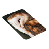 OWL MAGNEET (Rechterzijde)