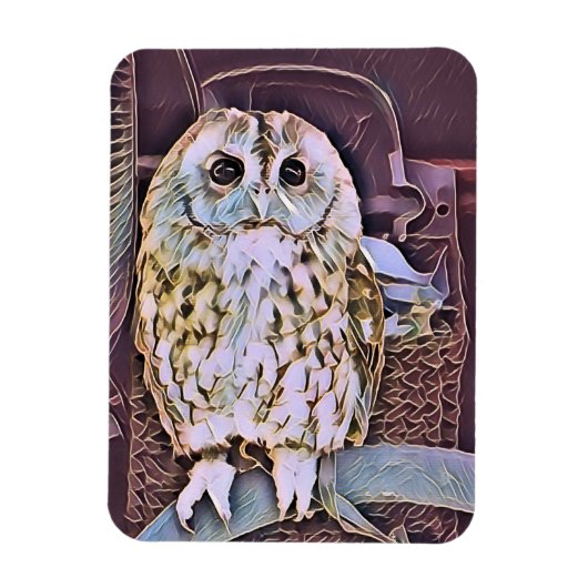 OWL MAGNEET (Verticaal)