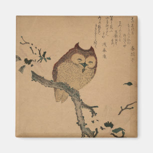 Owl & Magnolia: Japans Ukiyo-e Magnet Magneet