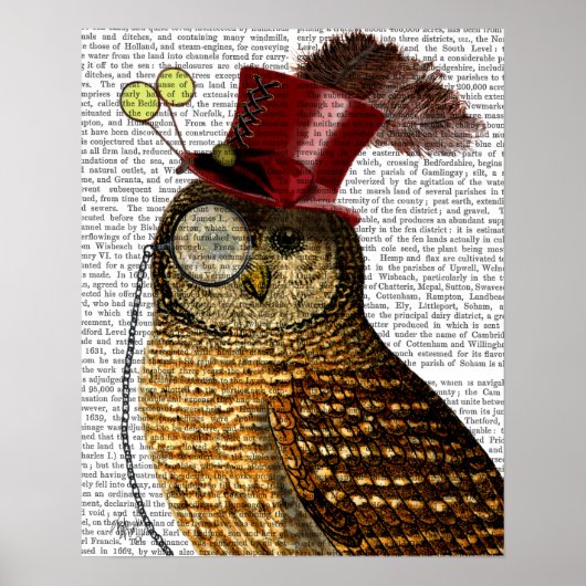 Owl met bovenste hak poster (Voorkant)