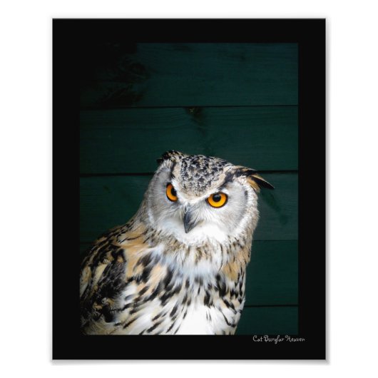 Owl met hoogte foto afdruk (Voorkant)