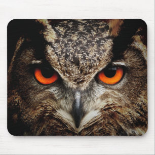 Owl met Oranje kleur Muismat