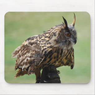 Owl Mousepad Muismat