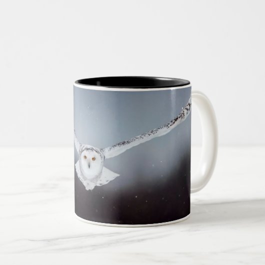 OWL MUG (Devant droit)