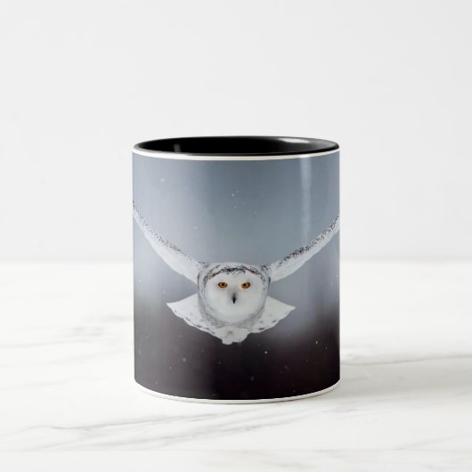 OWL MUG (Centre)